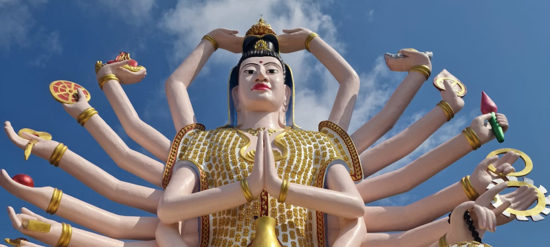 Investment Opportunities